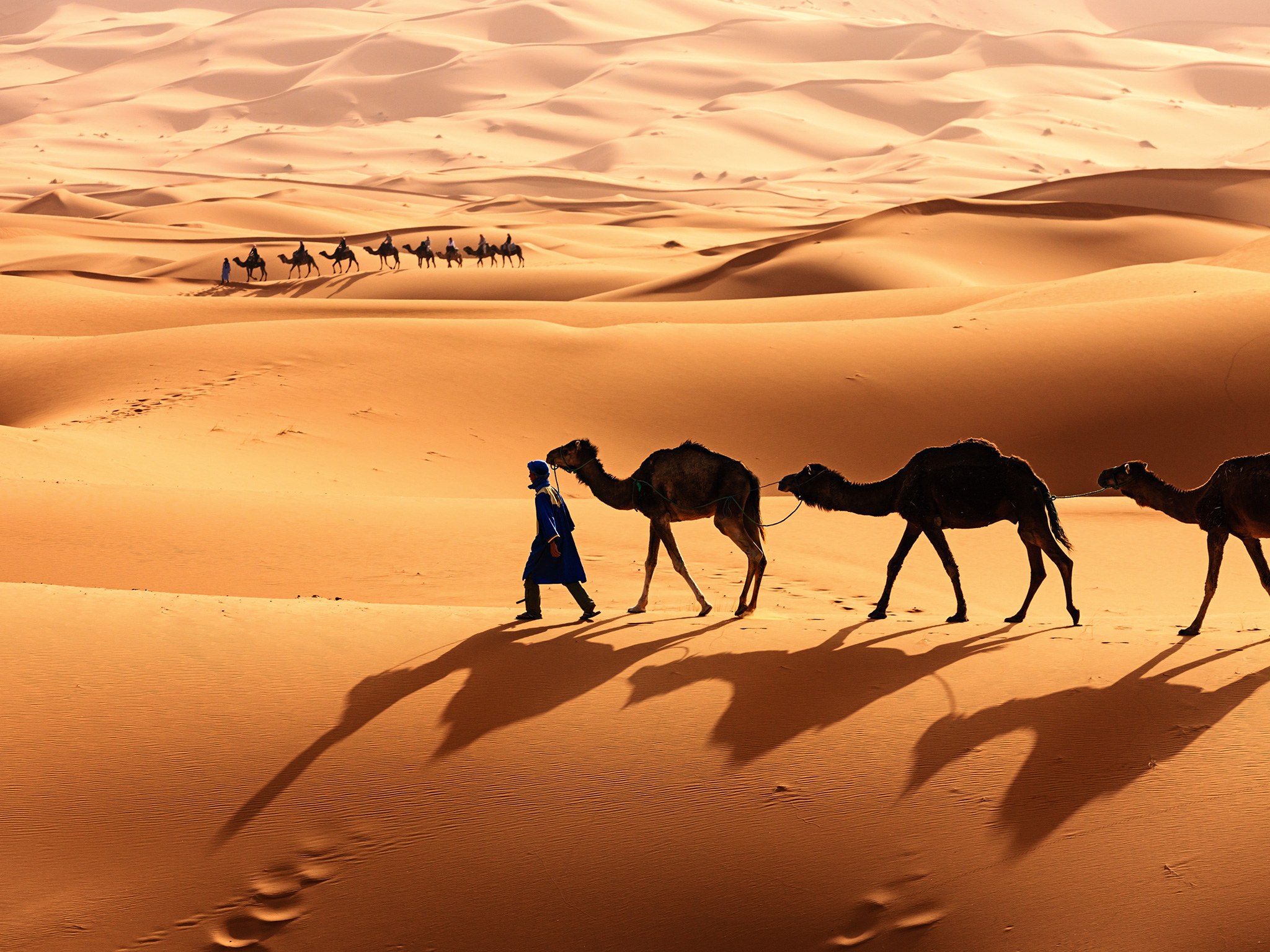 sahara-desert-camels-morocco-GettyImages-481618375